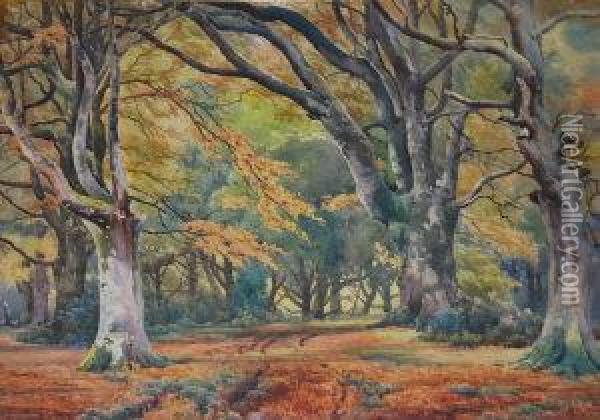 Forest Path In Autumn Oil Painting - Benjamin John Ottewell
