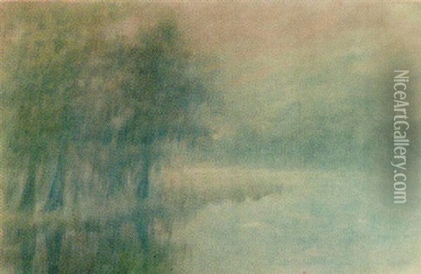 Cypress In The Mist Oil Painting - Alexander John Drysdale