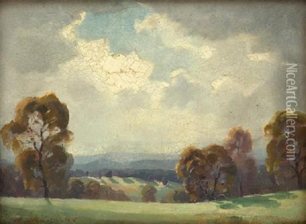 Soft Sunlight Oil Painting - Albert Ernest Newbury