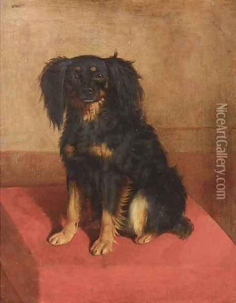A seated spaniel Oil Painting - English School