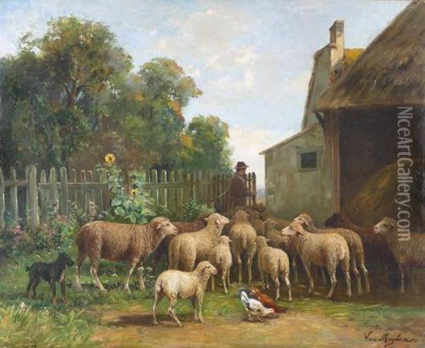 Hofansicht Mit Schafer Und Seiner Herde. Oil Painting - Jacques Alfred Van Muyden