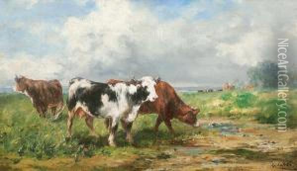 Weidende Kuhe Vor Weitem Hintergrund Oil Painting - Leon Georges Calves
