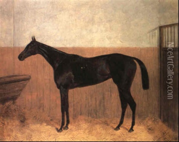 A Portrait Of The Bay Racehorse, Achievement In A Stable Oil Painting - Harry Hall