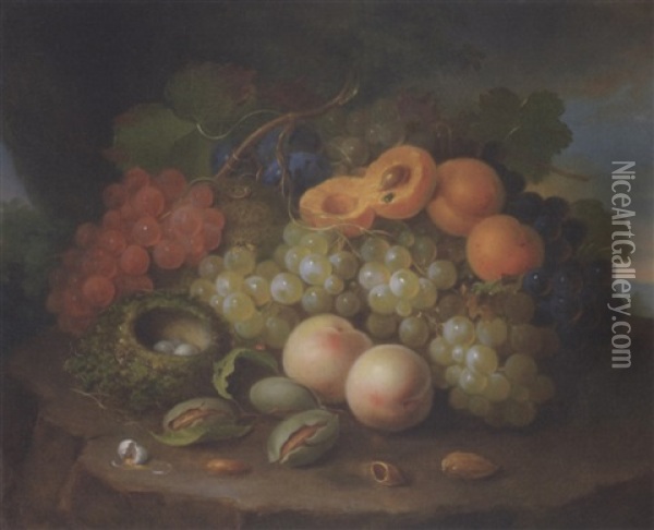 Still Life With Bird's Nest, Figs, Peaches And Grapes Oil Painting - George Forster