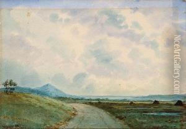 Connemara Landscape Oil Painting - Douglas Alexander