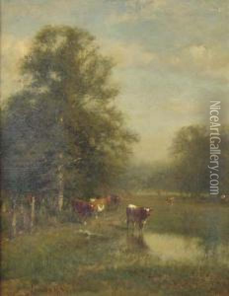 Cattle In A Pasture Oil Painting - James McDougal Hart