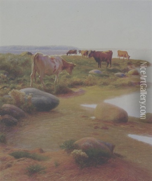 Graesende Koer Ved En Fjord Oil Painting - Hans Ole Brasen
