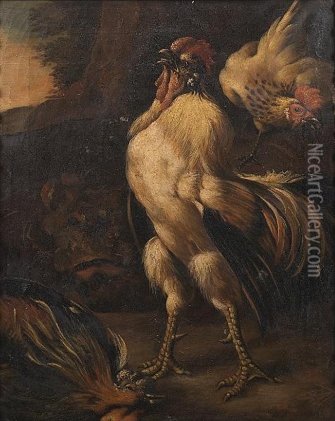 Two Cockerels Fighting In A 
Landscape; And A Cockerel Victorious Over Another Cockerel With A Hen In
 A Landscape Oil Painting - Melchior de Hondecoeter