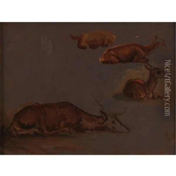 Studies Of Deer Oil Painting - Antoine-louis Barye