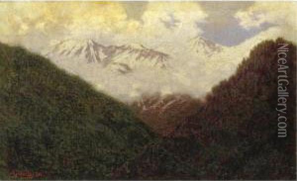 Paesaggio Sotto La Neve Oil Painting - Angelo Morbelli