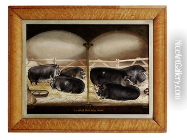 Six Prize Berkshire Pigs Oil Painting - John Vine