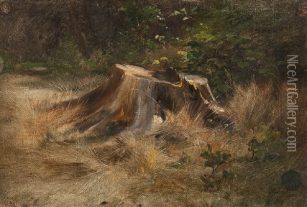 Der Baumstumpf Oil Painting - Julius Adam the Younger