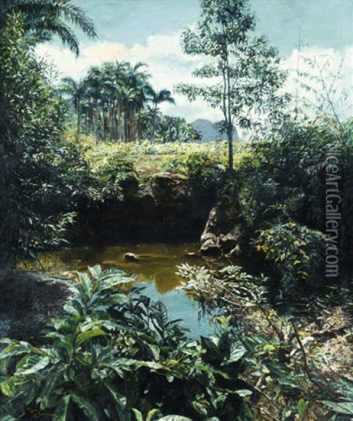 Palmovy Haj Na Ceylone Oil Painting - Tavik Frantisek Simon