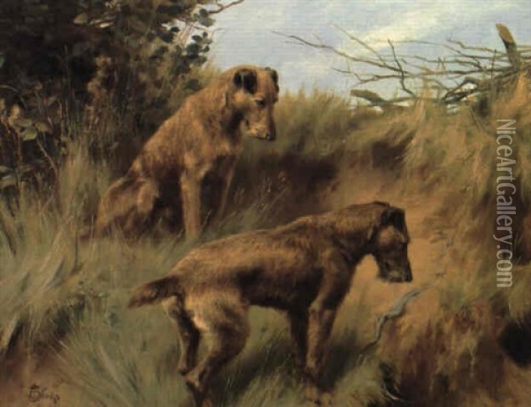 Irish Terriers Oil Painting - Thomas Blinks