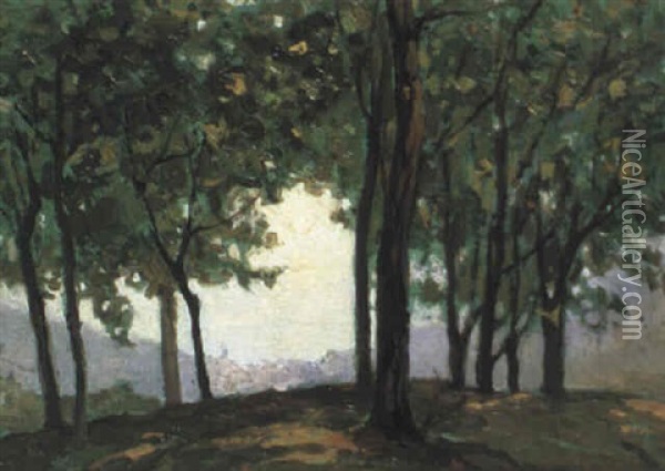 Woodland Scene Oil Painting - Pietro Fragiacomo