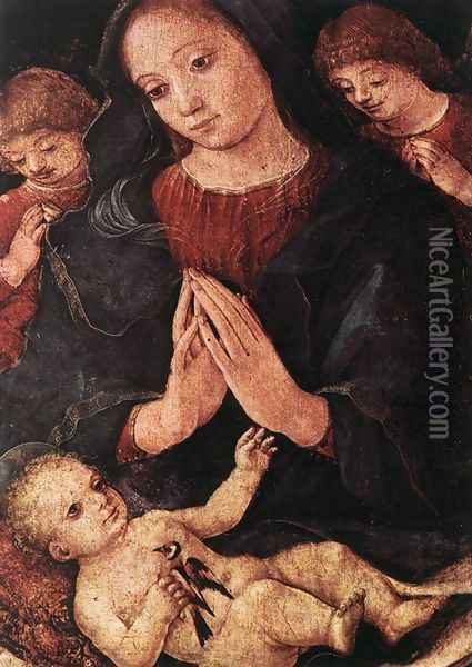 Madonna del Cardellino Oil Painting - Liberale Da Verona
