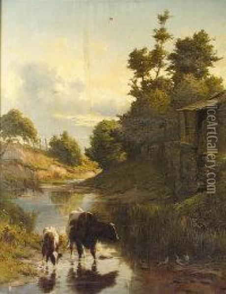 Cattle Watering In A Stream Oil Painting - Alfred Grey