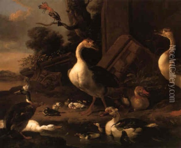 Chinese And Egyptian Geese, A Muscovy Duck And A Hoopoe In A Landscape Oil Painting - Melchior de Hondecoeter