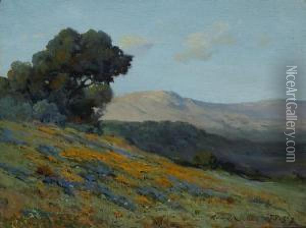 California Poppies And Lupine On A Hillside Oil Painting - John Calvin Perry