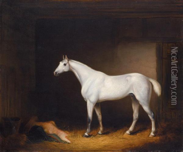A Grey Racehorse In A Stable Oil Painting - Edmund Rolfe