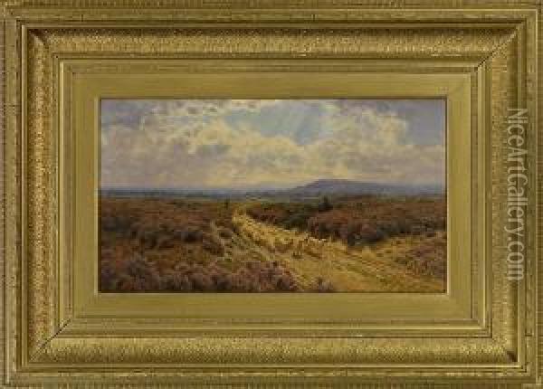 Schafherde Auf Weg In Weiter Landschaft Oil Painting - John Clayton Adams