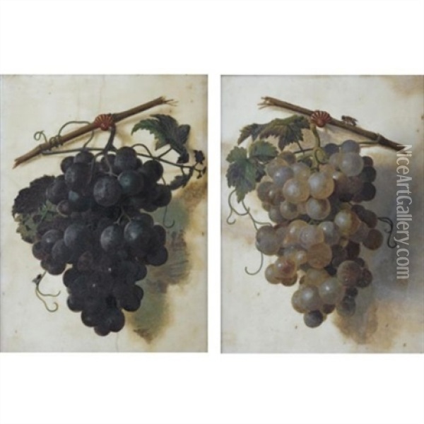 A Still Life Of Red Grapes (+ A Still Life Of Green Grapes; Pair) Oil Painting - Christiaen van Pol