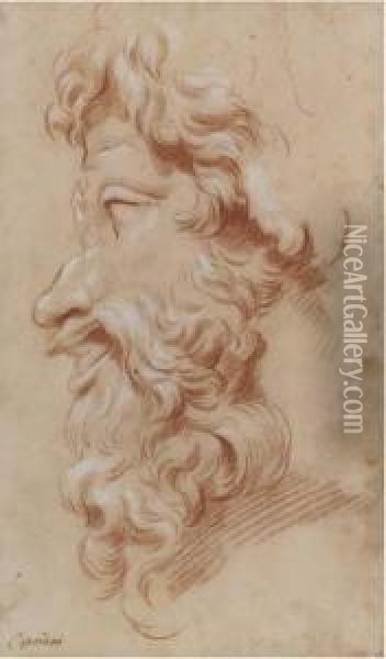 Study Of The Profile Of A Bearded God Oil Painting - Giovanni Batista Cipriani