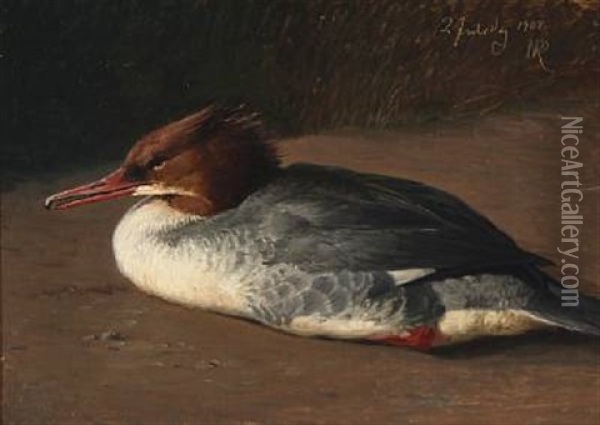 A Merganser Oil Painting - Niels Peter Rasmussen
