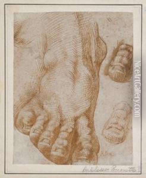 Studies Of A Foot Oil Painting - Bartolomeo Passarotti