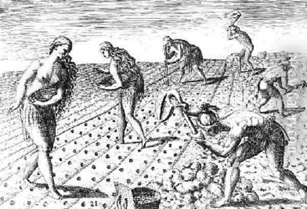 Florida Indians planting maize Oil Painting - Jacques le Moyne de Morgues