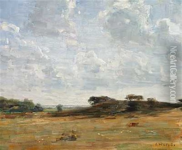 Landskab Med Skyet Himmel Oil Painting - Carl Vilhelm Holsoe