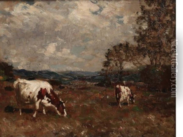 Cattle In Meadow Oil Painting - Andrew Douglas