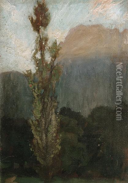 Study Of A Poplar Oil Painting - Charles Wellington Furse