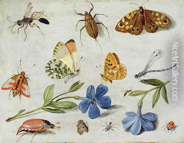 Insects 6 Oil Painting - Jan van Kessel