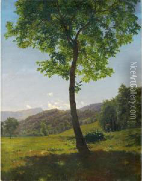 Blick Auf Das Stanserhorn 
View To The Stanserhorn Oil Painting - Robert Zund