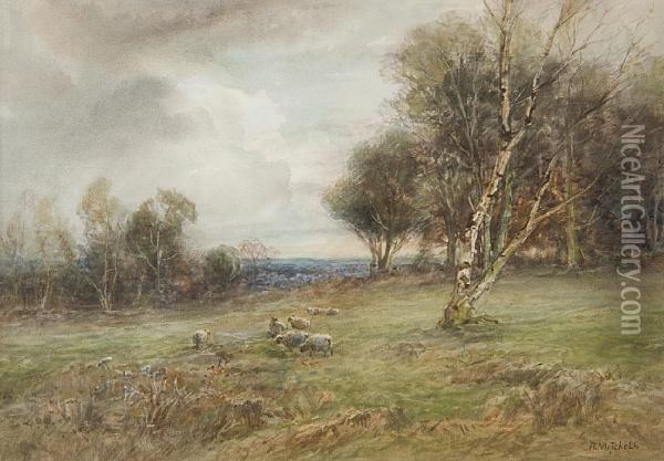 A Quiet Morning, Walton Heath, Surrey Oil Painting - Neil Mitchell