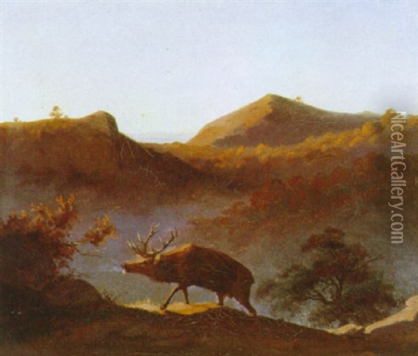 Bjerglandskab Med Kronhjort Oil Painting - Friedrich Happel