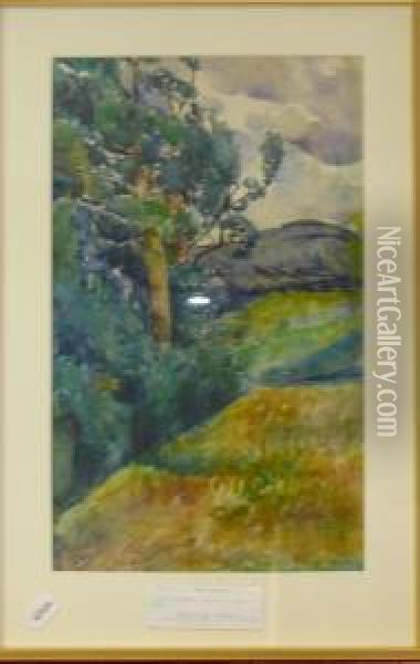 Landskapsmotiv. Oil Painting - Hildegard Zoir