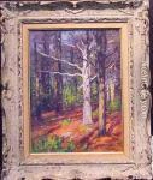 Forest Interior Oil Painting - Edward Henry Potthast
