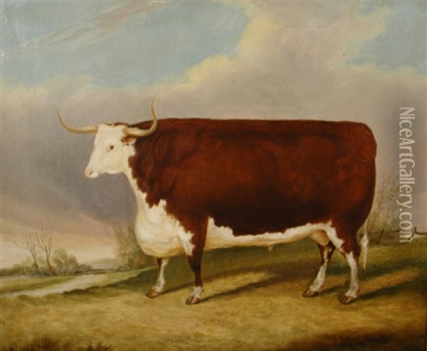 A Hereford Bull In A Landscape Oil Painting - John Vine