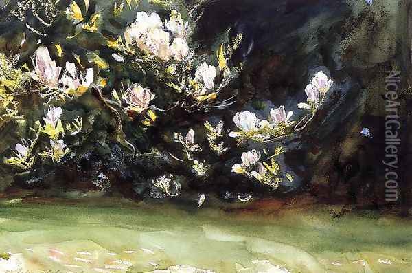 Magnolias Oil Painting - John Singer Sargent