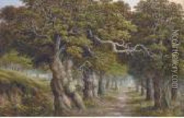 The Forest Track Oil Painting - Charles Leaver