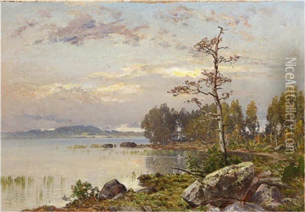 Autumn Morning Oil Painting - Magnus Hjalmar Munsterhjelm