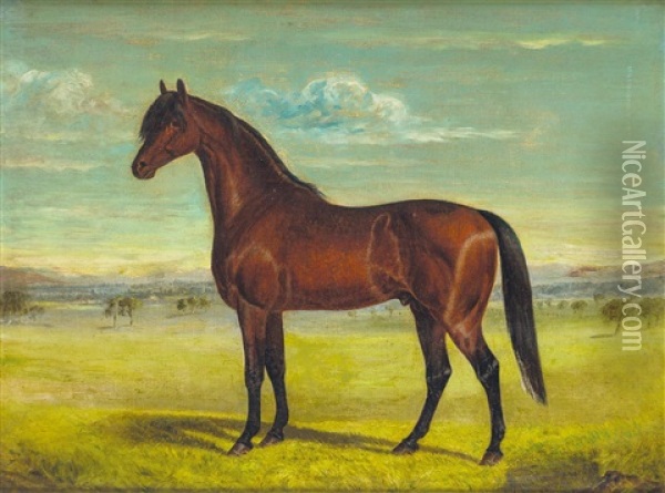 Equine Study Oil Painting - Frederick Woodhouse Sr.
