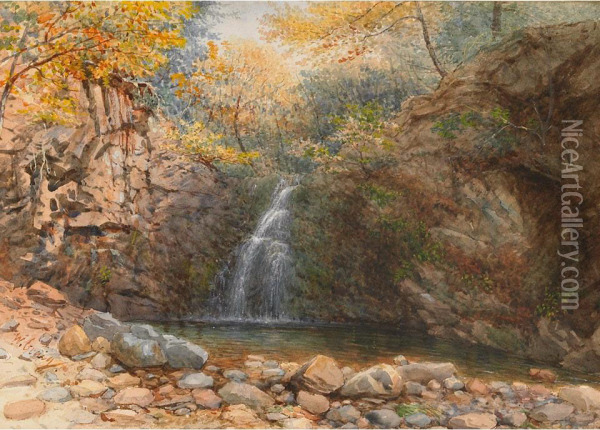 (two Rural Views, New York) Rustic Bridge Near Fishkill; Waterfall In A Forest Pool Oil Painting - William Craig