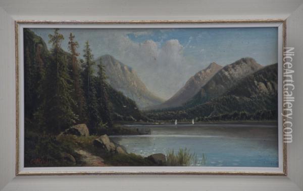 Paesaggio Alpino Con Lago Oil Painting - Anton Pick