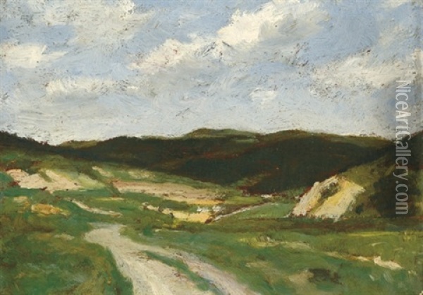Panorama Of Palvolgy Oil Painting - Adolf Fenyes