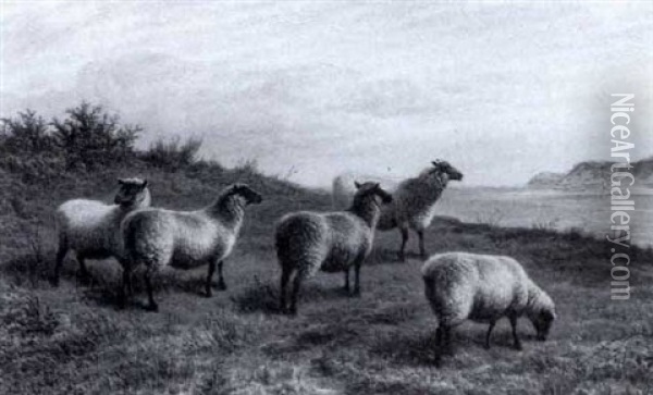Sheep On A Headland Oil Painting - Charles Jones