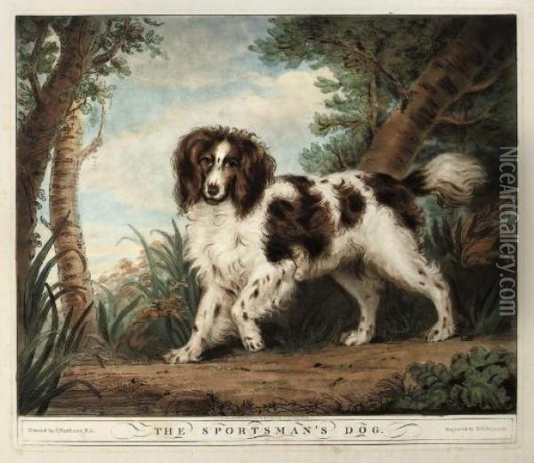 The Sportsman's Dog Oil Painting - Samuel William I Reynolds