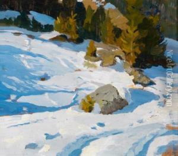 Schneebedeckte Landschaft Oil Painting - Alfred Poell